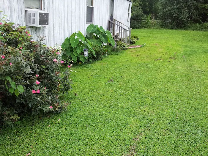 Oakland Hills Picture 3