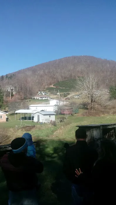 Oakland Hills Picture 1