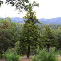 MCCS Big Bear Recreational Facility ico