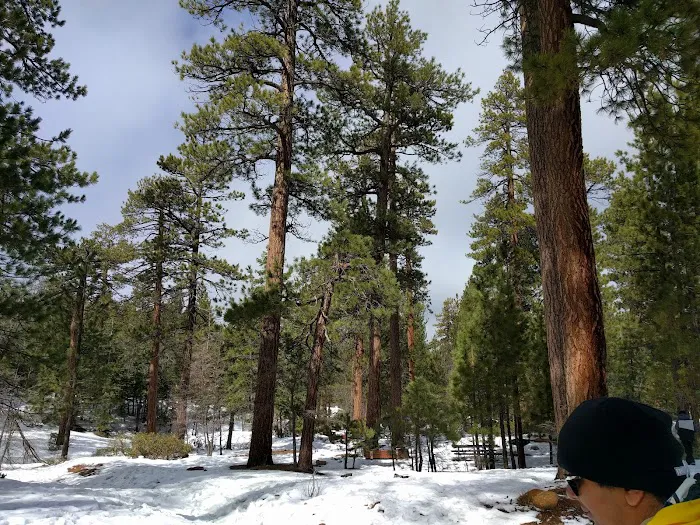 MCCS Big Bear Recreational Facility Picture 9