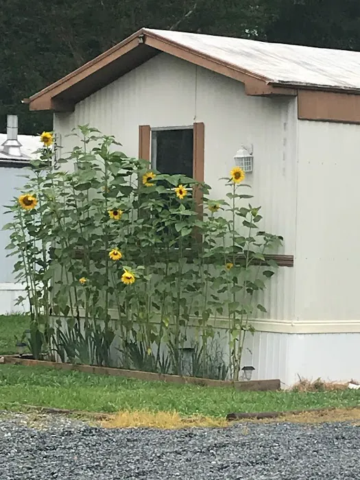 Cedar Park Estates Picture 5