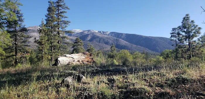 Lobo Group Campground Picture 5