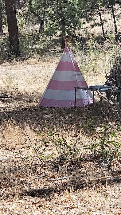 Lobo Group Campground Picture 10