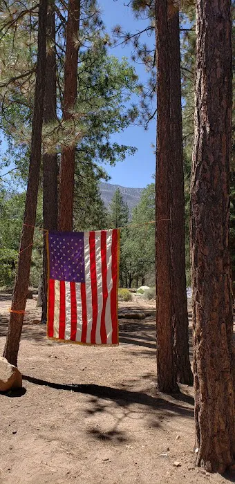 Lobo Group Campground Picture 2