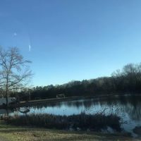 Twin Lakes Estate ico