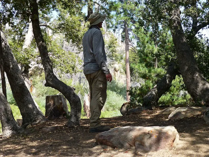 Mission Pine Spring Camp Picture 7