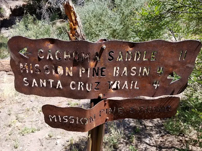 Mission Pine Spring Camp Picture 9