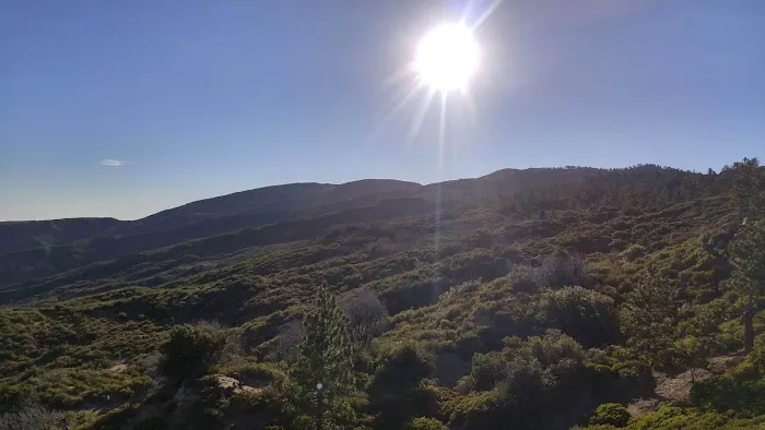 Mission Pine Spring Camp Picture 8