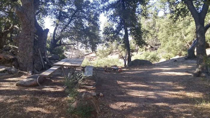 Mission Pine Spring Camp Picture 3