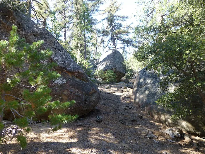 Mission Pine Spring Camp Picture 4