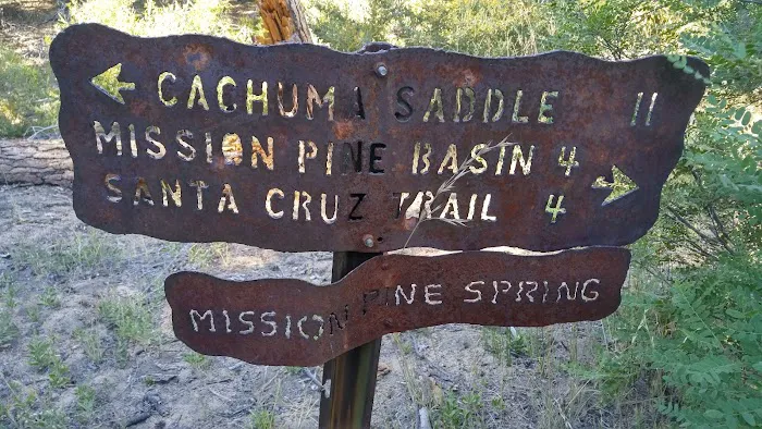 Mission Pine Spring Camp Picture 10