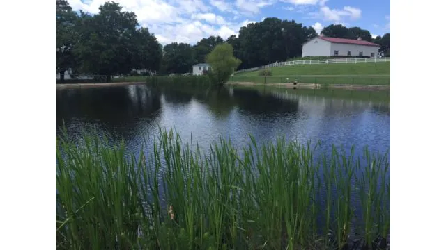 Southern Hills Picture 6