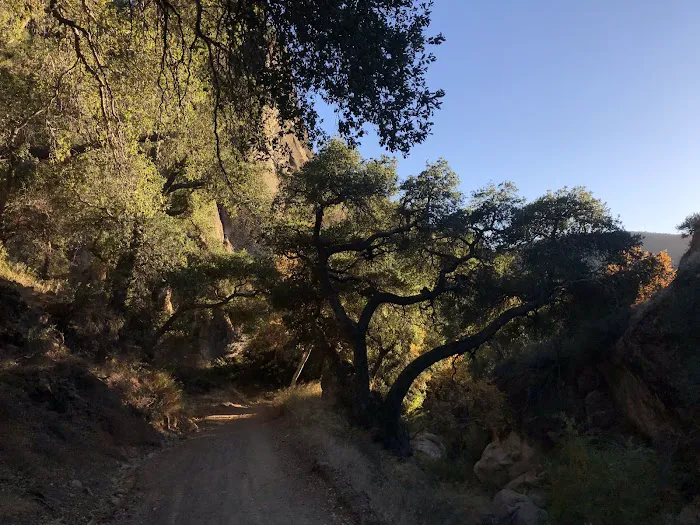 Upper Oso Campground Picture 3