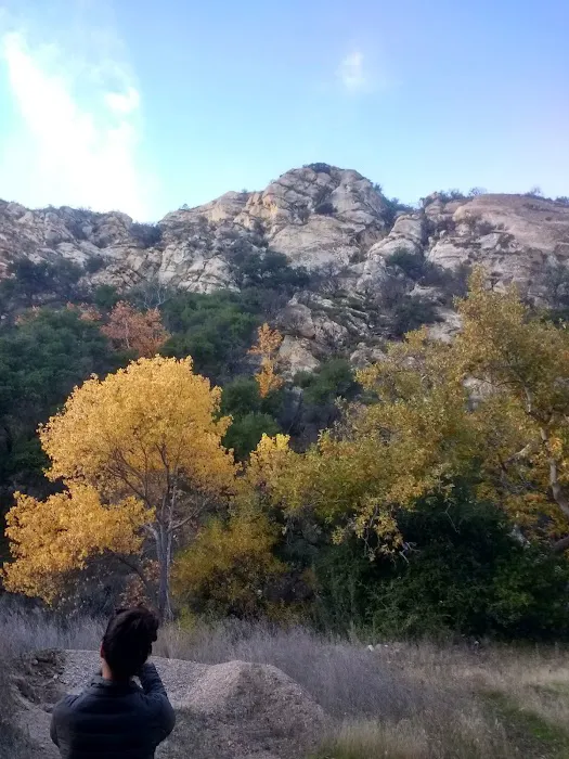 Upper Oso Campground Picture 6