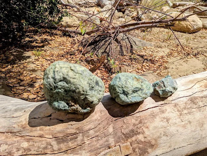 Upper Oso Campground Picture 9