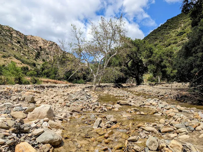 Upper Oso Campground Picture 10