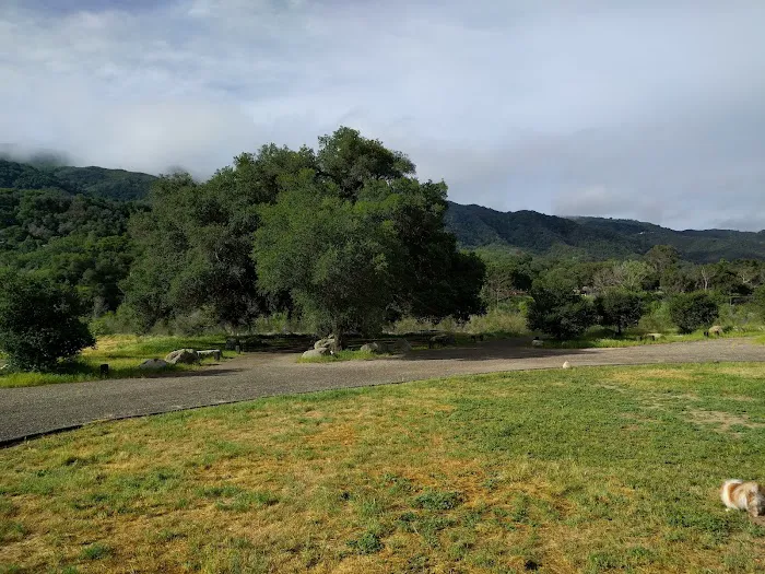 Sage Hill Campground Picture 6