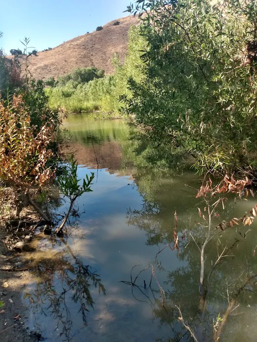 Los Prietos Campground Picture 5