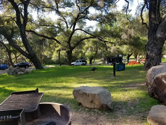 Los Prietos Campground Picture 10