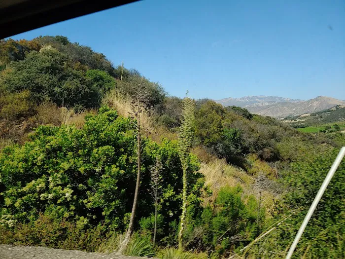 Los Prietos Campground Picture 4