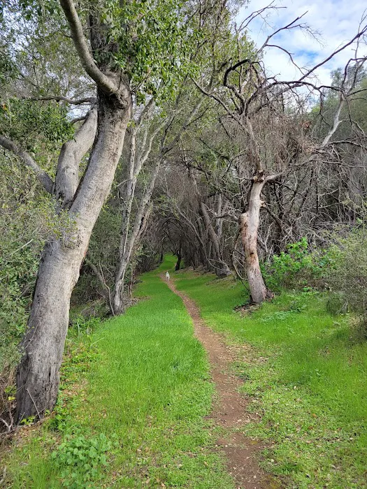 Paradise Campground Picture 7