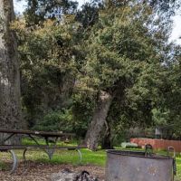Paradise Campground ico
