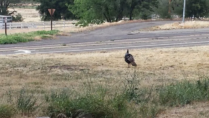 Fremont Campground Picture 5