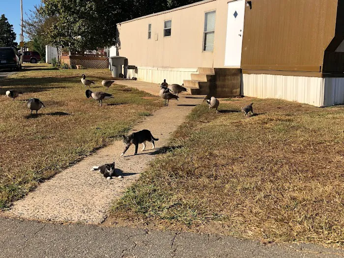 Queen's Grant Mobile Home Park Picture 9