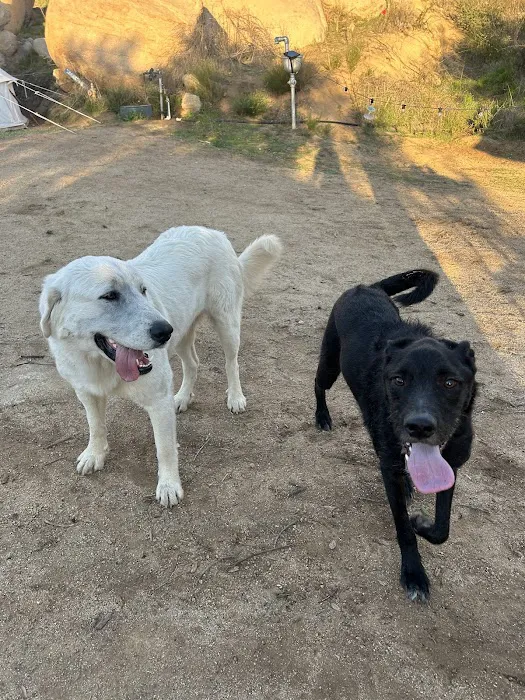 Hilltop Hideout at Splitrock Farm Picture 3