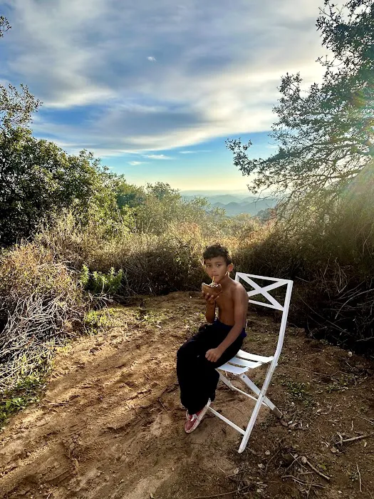 Hilltop Hideout at Splitrock Farm Picture 4