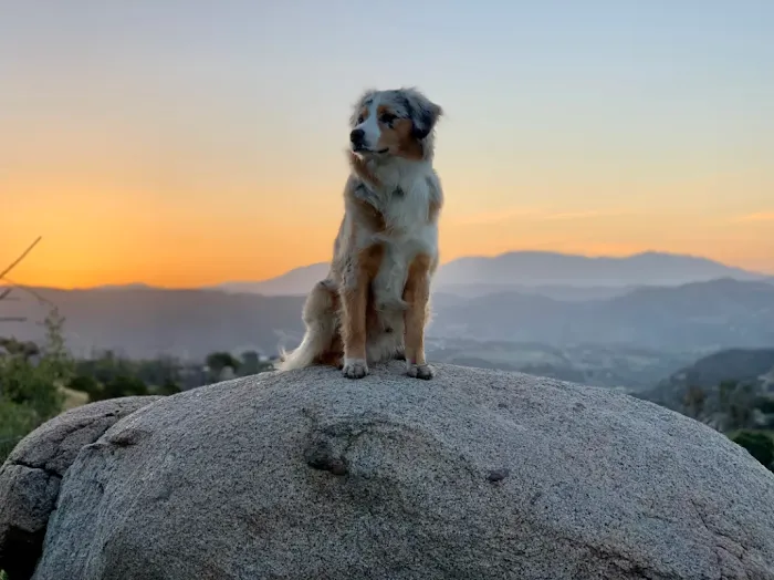 Van Life Campgrounds @ Splitrock Retreat (Don't Use For Directions - Reservation Required) Picture 5