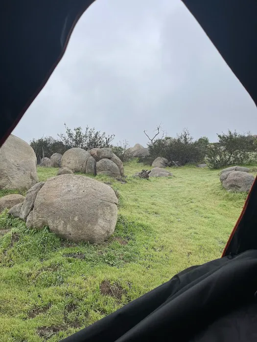 The Oak Grove at Splitrock Farm Picture 1