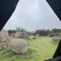 The Oak Grove at Splitrock Farm ico