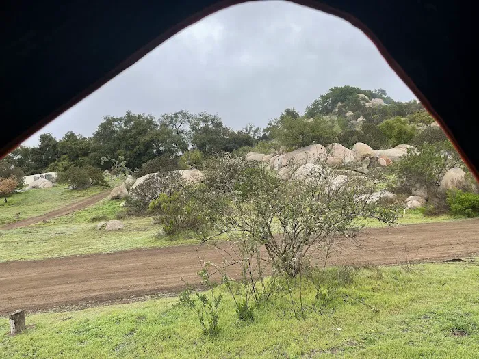 The Oak Grove at Splitrock Farm Picture 2