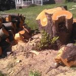 Rustic Village Mobile Home Pk