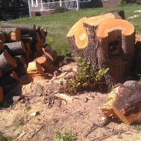 Rustic Village Mobile Home Pk ico