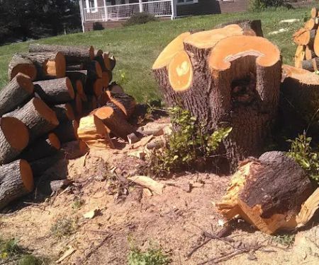 Rustic Village Mobile Home Pk