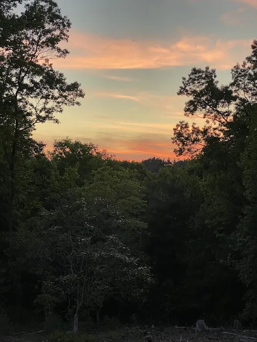 Olde Beau Luxury Motorcoach Resort Picture 2