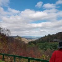 Olde Beau Luxury Motorcoach Resort ico