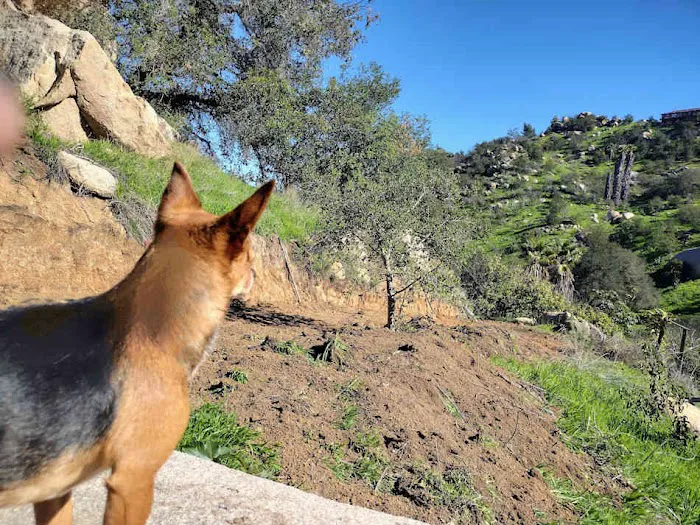 Detour N De Luz ~ private camping Picture 2