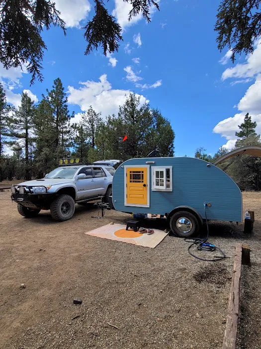 Tanglewood Group Campground Picture 10