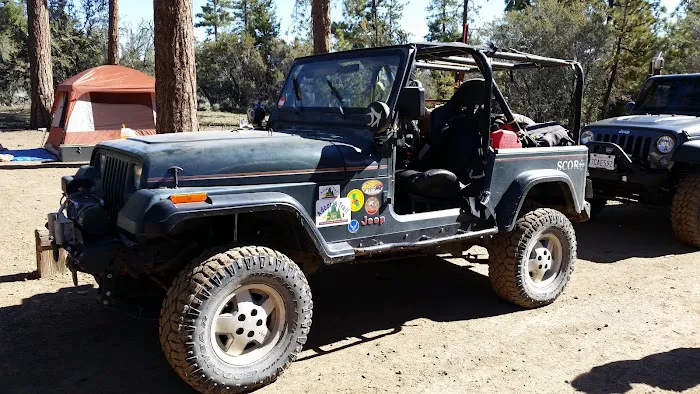 Tanglewood Group Campground Picture 6