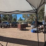 Tanglewood Group Campground