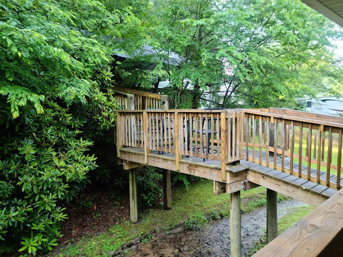 Fries New River RV Park Picture 7