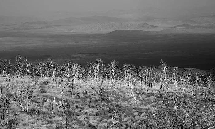 Doble PCT Trail Camp Picture 6