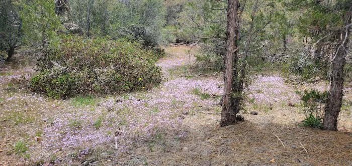 Doble PCT Trail Camp Picture 4