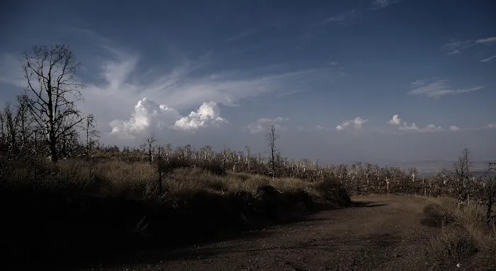 Doble PCT Trail Camp Picture 7