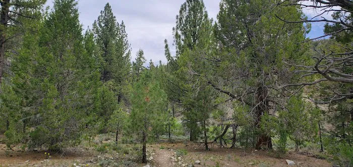 Doble PCT Trail Camp Picture 5