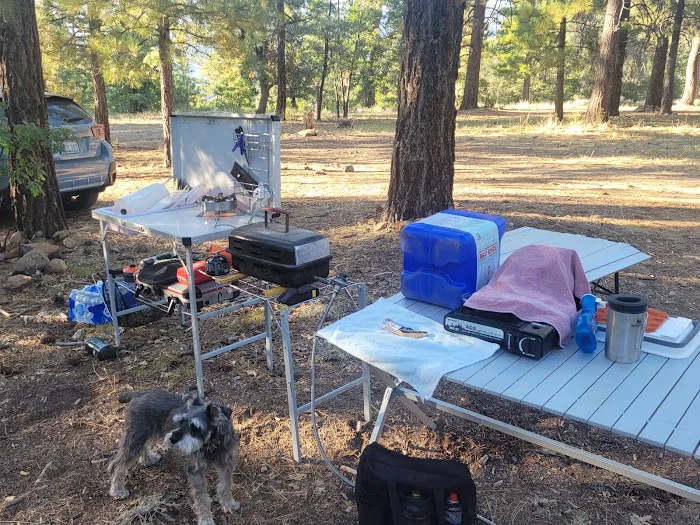 East Flats Campground Picture 9
