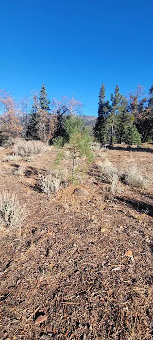 East Flats Campground Picture 4